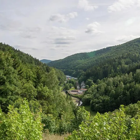 Ferienwohnung Thuringer Wald 1 Schönbrunn